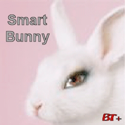 CTF-BT+(CN)SmartBunny (CN)SmartBunny