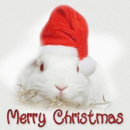 CTF-BT+(UTW)MerryChristmas2018 Merry Christmas 2018