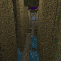CTF-BT-(CN)HallsOfPain Bunny Track : Halls of Pain