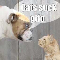 BT: DoggyStyle OMGPLZ! (Cats suck ass)