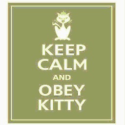 CTF-BT-KittyCornerV2 KittyCorner