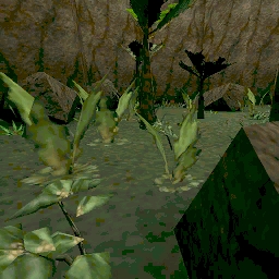 CTF-Camouflaged Camouflaged